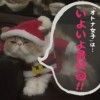 オトナ女子10話最終回予告ちくわちゃん(アリスちゃん)サンタクロース画像